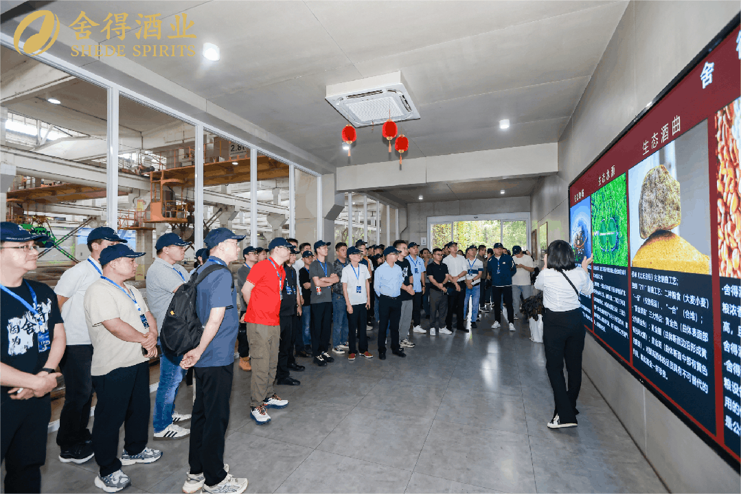 1759117859785060.png 舍得替换3.png