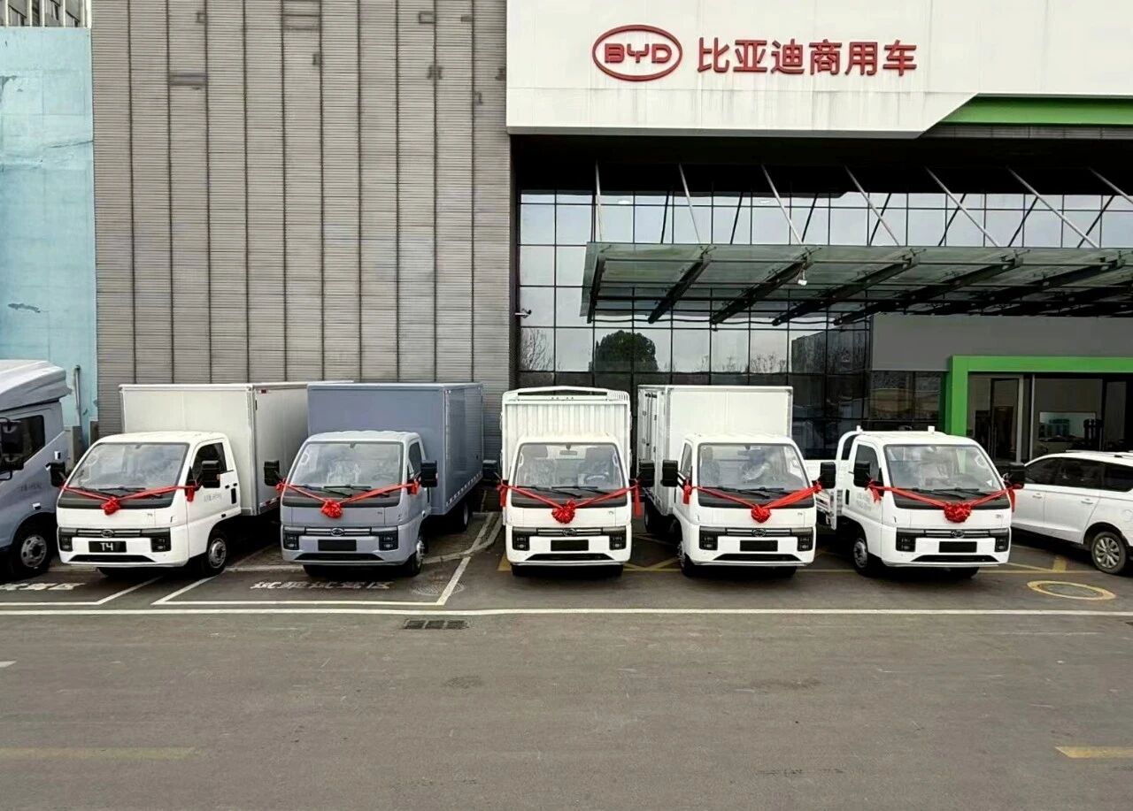 byd2.jpg
