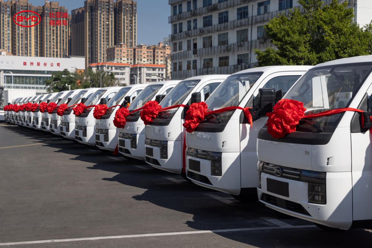 1766739338989019.png t4 1.png